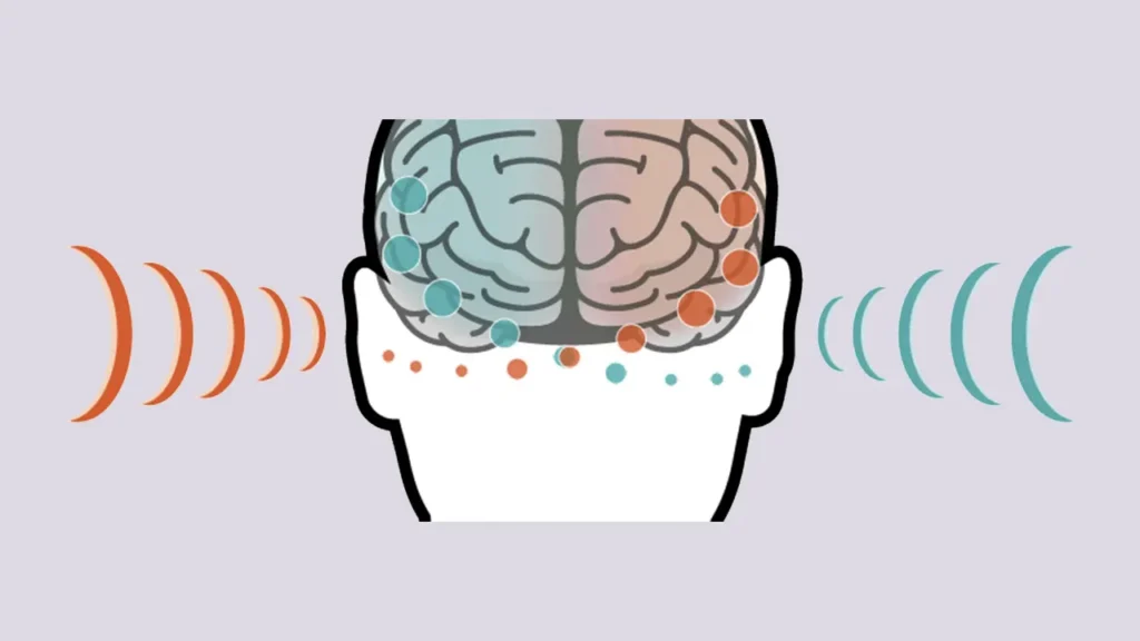 شنوای دو طرفه