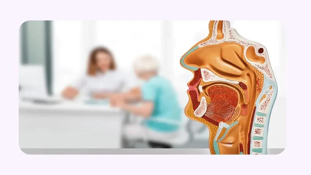 ارتباط گوش و حلق و بینی 