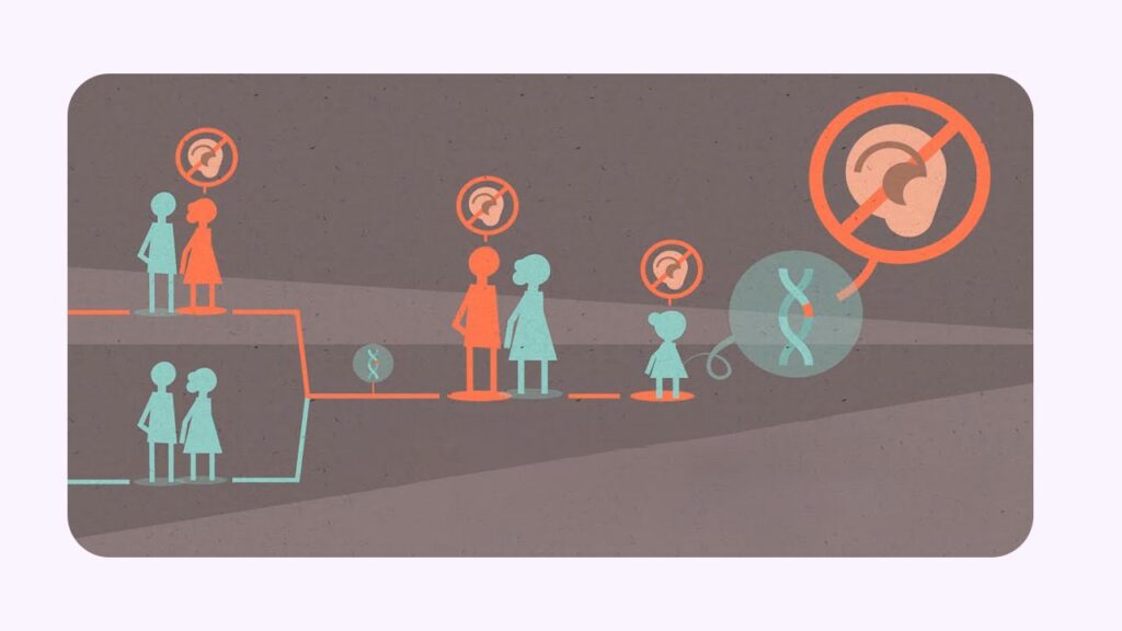 تصویر شماتیک از کم شنوایی ارثی 