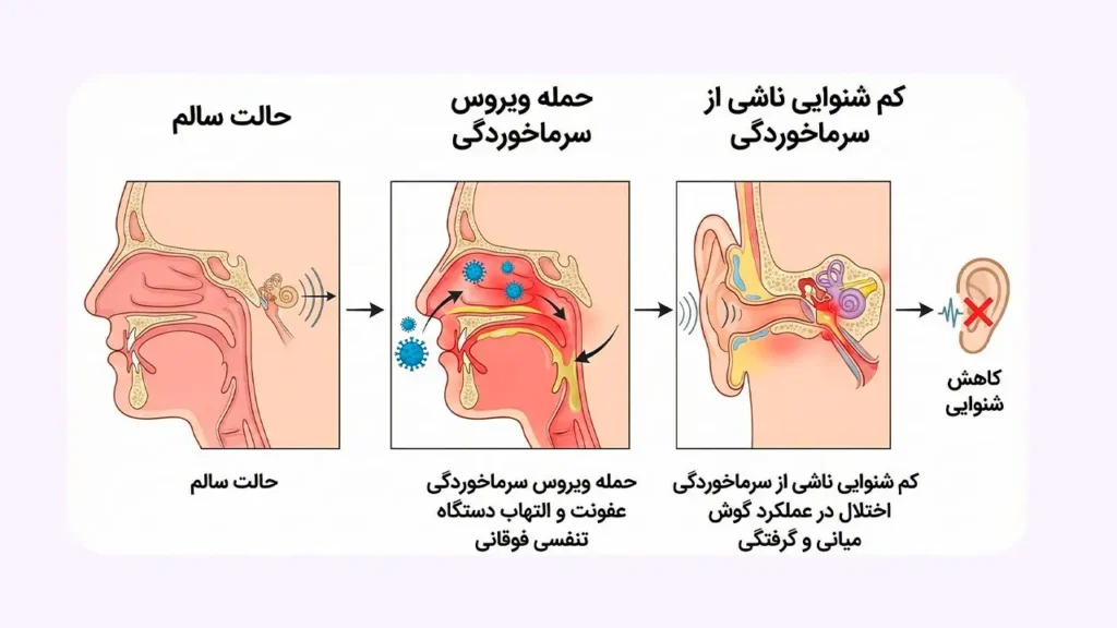 آیا سرماخوردگی باعث کم شدن شنوایی میشود؟