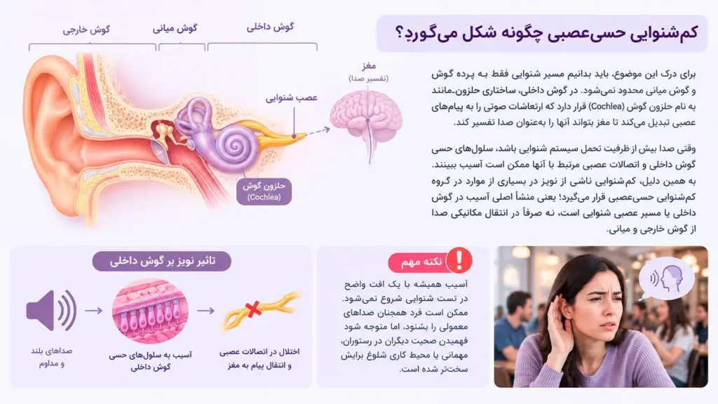 تصویر اینفوگرافیک از کم شنوایی حسی عصبی 